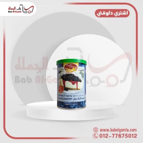 صورة حشو توت ازرق كوالتي علبه 400جم