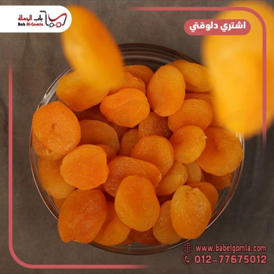 صورة مشمشية جامبو 5 ك