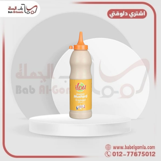 صورة ايلو مسترده