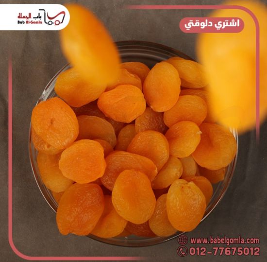 صورة مشمشيه مقاس 0 كيلو