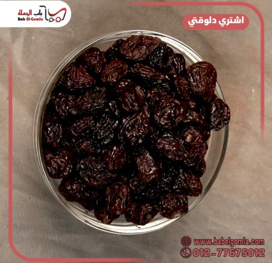 صورة قراصيا ارجنتيني مقاس 10/20