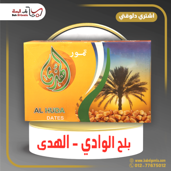 صورة بلح الهدي علبة 700 جرام